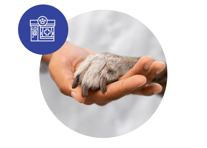 VetCheck Pet Urgent Care Center Franchise | The Opportunity